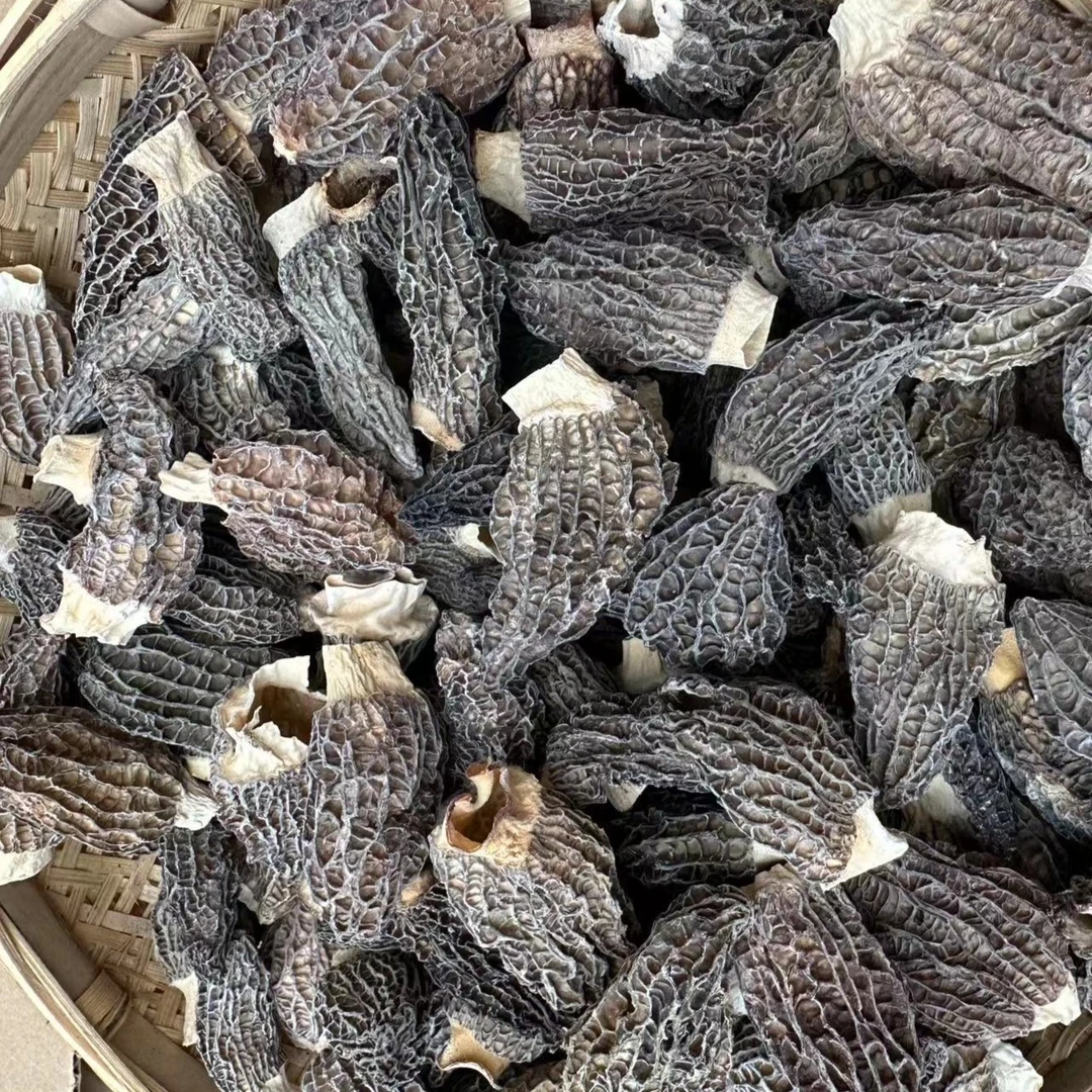 【阿牛】  羊肚菌