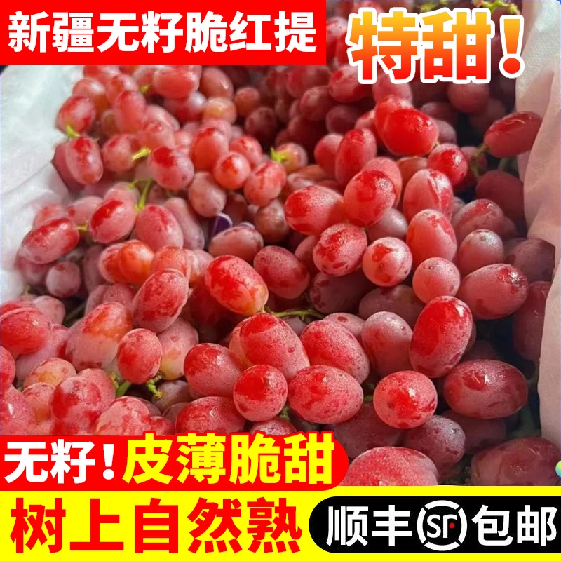 新疆种植马奶红提新鲜水果精品饱满采摘原产吐鲁番无籽葡萄5/1斤