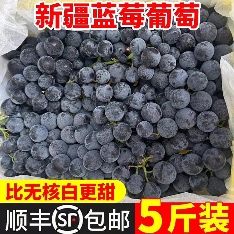 【顺丰包邮】新疆蓝莓葡萄新鲜水果无籽夏黑孕妇水果爆汁马奶提5斤