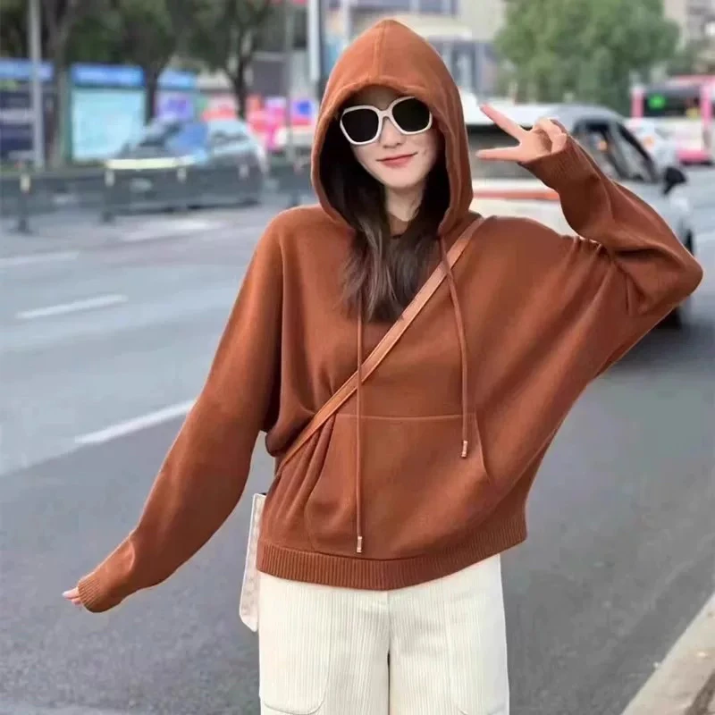 【商场同款】2024秋冬热力感羊毛针织帽衫女卫衣宽松5399680