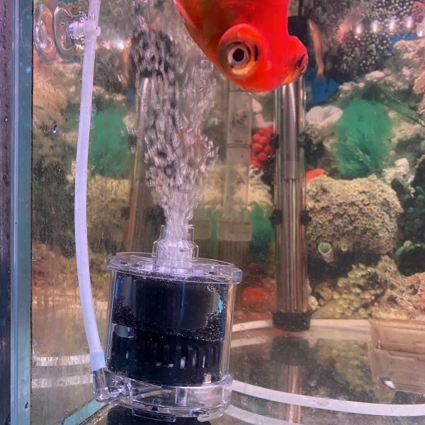 松宝水妖精过滤器