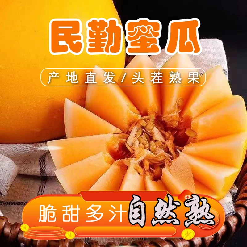 甘肃民勤蜜瓜金红宝5-6斤【2枚】（新疆西藏海南广东不发货）