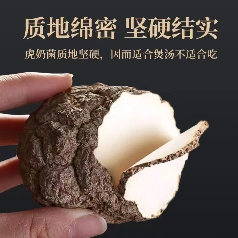 高品质大片食用炖煮虎奶菌虎奶菇干货切片