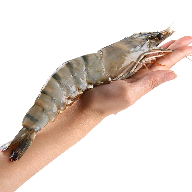 特大只黑虎虾生鲜老虎虾斑节对虾 海鲜水产新鲜大虾净重约900g/盒