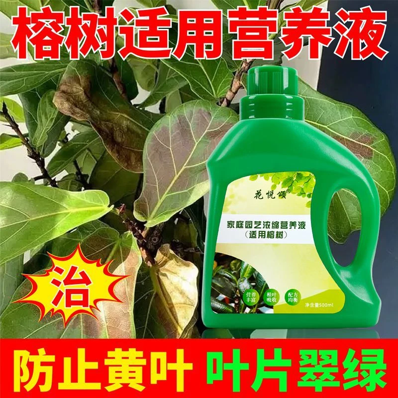 榕树适用营养液室内盆栽营养液家用浓缩通用治黄叶养花绿植肥料