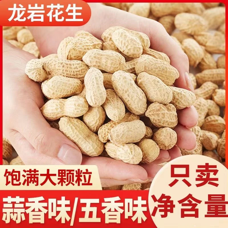 龙岩花生精选正宗水煮白晒咸干香脆花生咸干花生手工美味好吃健康