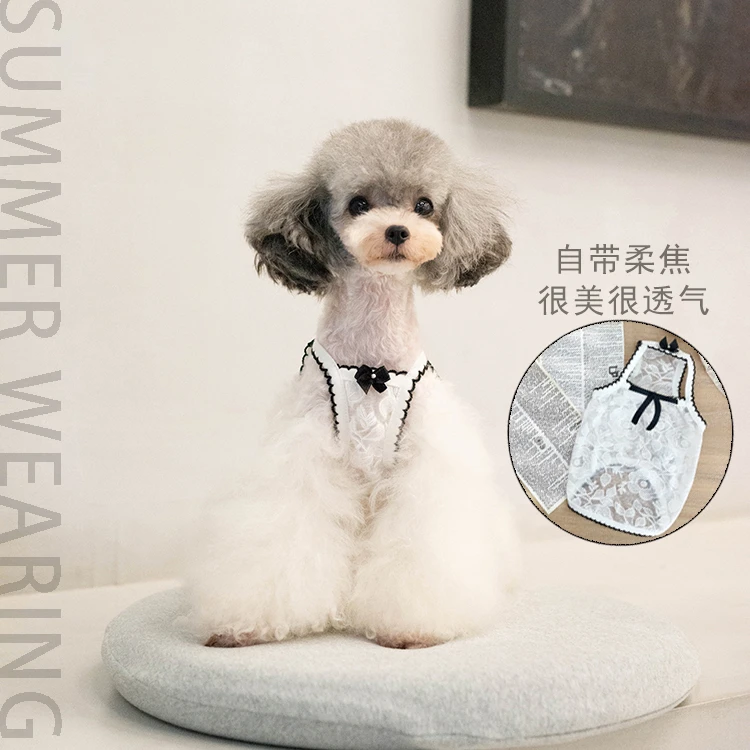 淘淘花瓣纱吊带背心简约可爱ins风宠物衣服薄款夏装泰迪狗狗比熊
