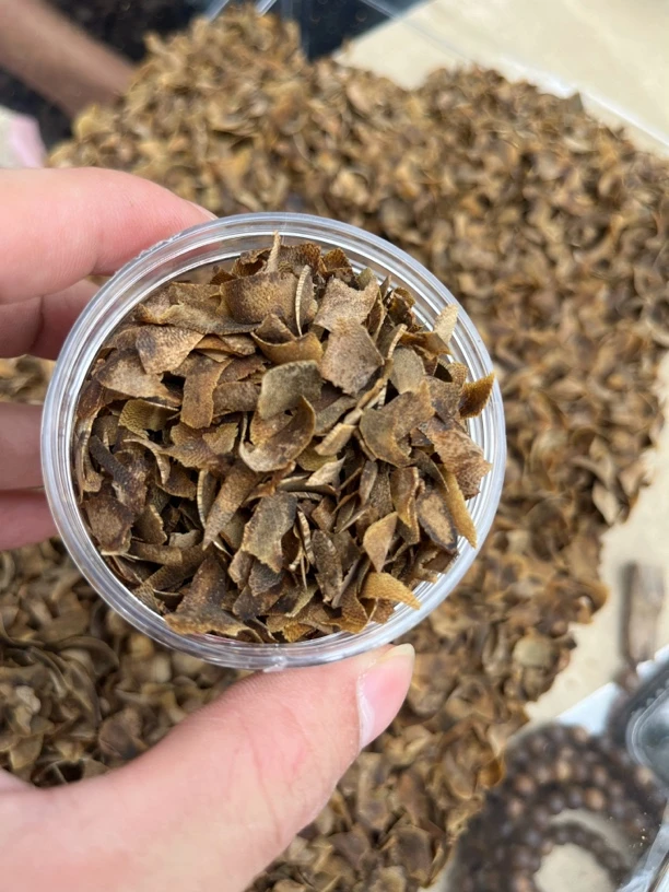 绿奇楠沉香切片碎料发20克