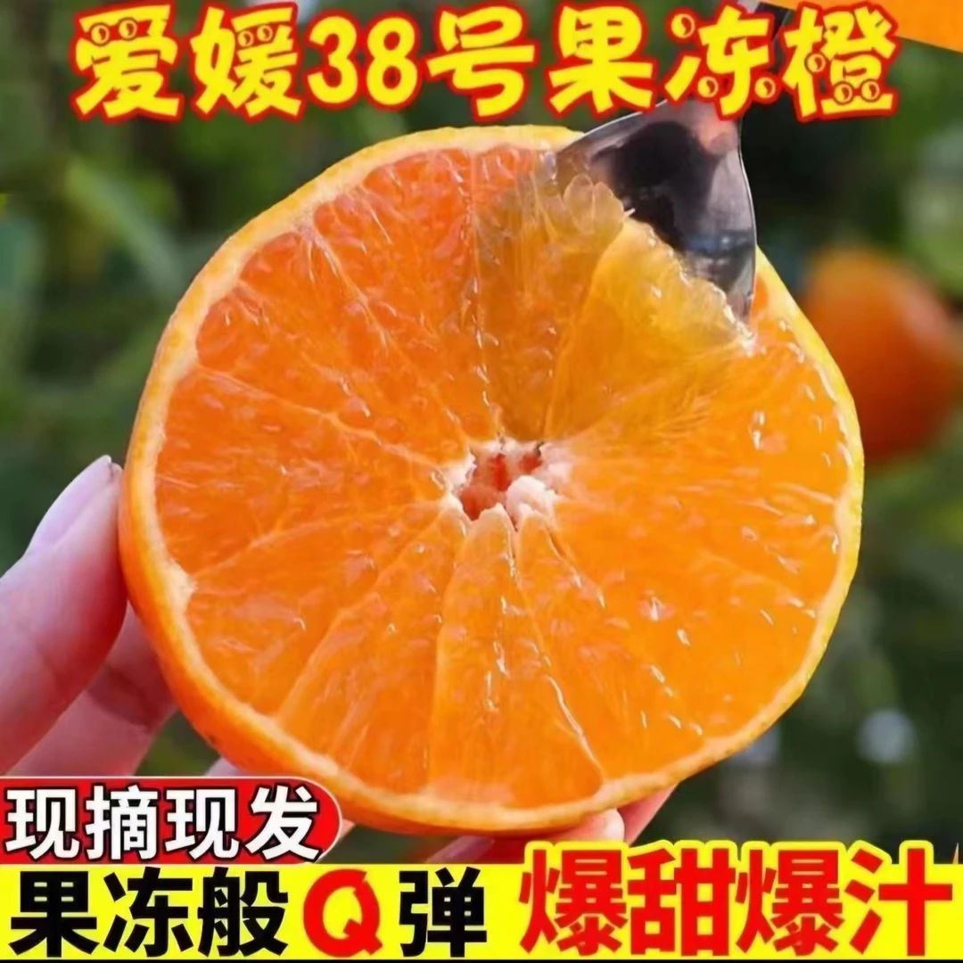 【Z专属】四川爱媛38号果冻橙新鲜采摘眉山丹棱产区2-5-8斤风味十足