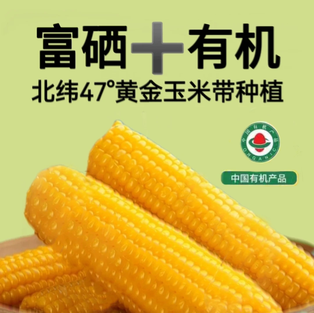 【富硒+有机】5斤鑫依然香东北黄糯玉米铝箔装北纬47°种植3小时锁鲜