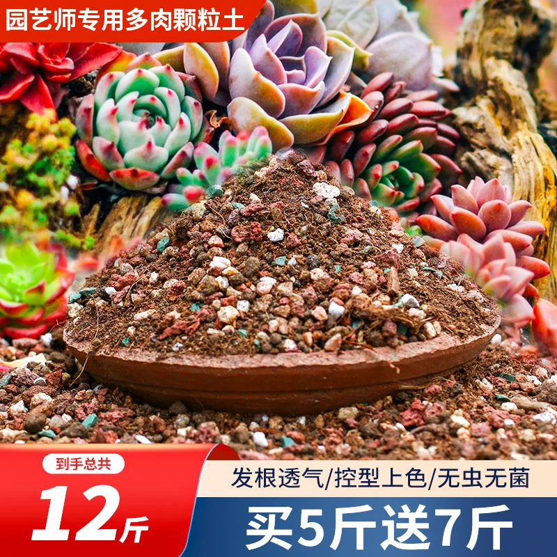 【粉丝专属】5斤送7斤多肉70%颗粒多肉专用土控型上色透气营养土