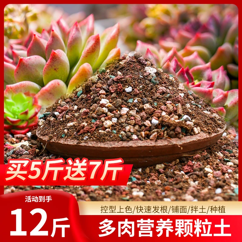 【花界草堂】控养多肉专用土70%颗粒土营养土控型上色发根多肉土