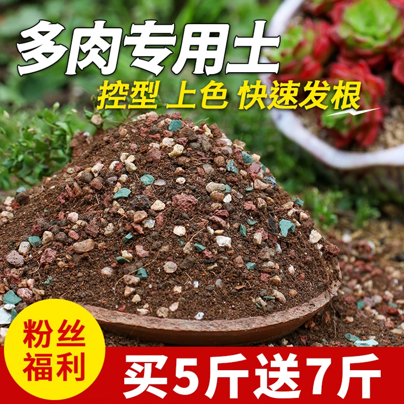 【粉丝福利】多肉专用颗粒土控型上色有机疏松透气发根营养土思威博