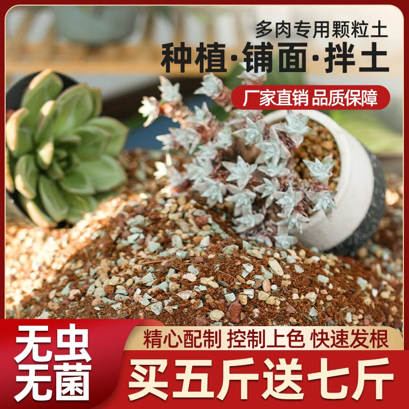 【买五斤送七斤】多肉专用颗粒土营养土种植土疏松透气植物营养土