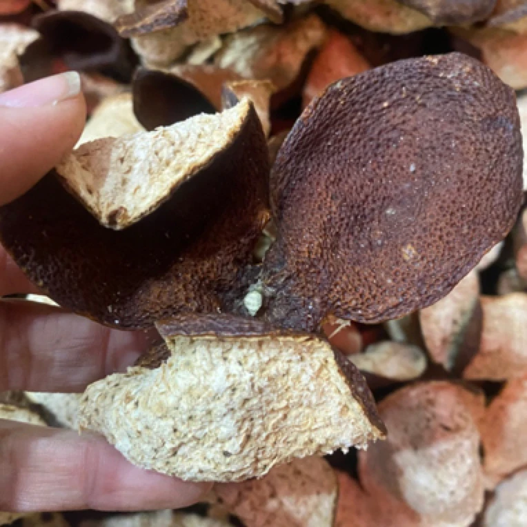 新会陈皮2020年三江深吕圈枝二红皮