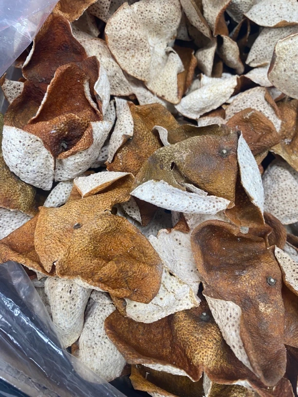 新会陈皮2023年梅江圈枝大红皮断片