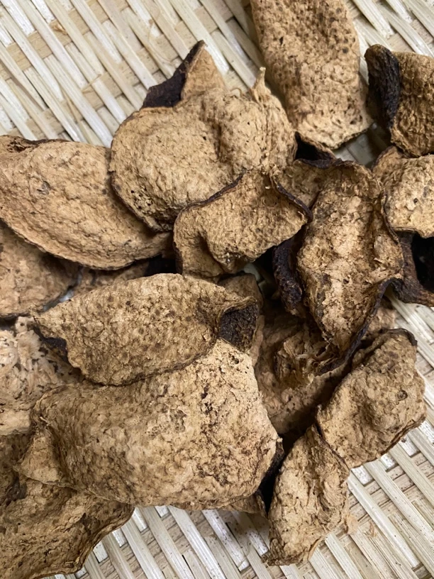 新会陈皮2004年梅江产区大红断片