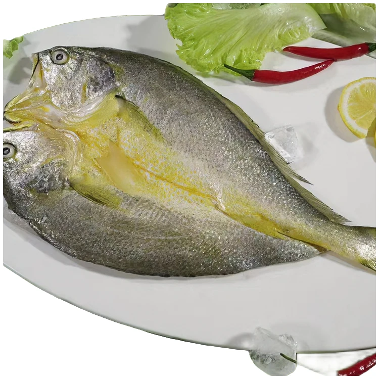 【5条】福建霞浦黄鱼鲞特产新鲜海洋黄鱼美味鲜嫩爽滑营老少皆宜