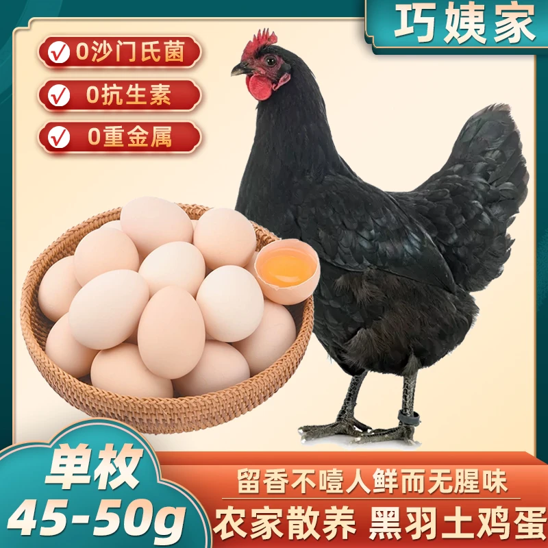 【巧姨农场】尧山黑凤鸡鸡蛋正宗五谷散养土鸡蛋新鲜 单枚45-50g