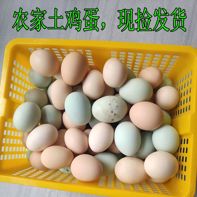 新鲜农家散养土鸡蛋粮食走地胡须鸡初生蛋农村草鸡笨鸡蛋广东现发