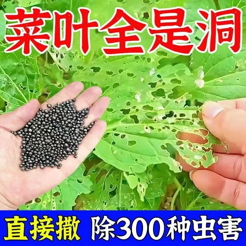 【冬季专用】施撒型防护清菌防病防冻抗寒颗粒瓜果蔬菜农作物用