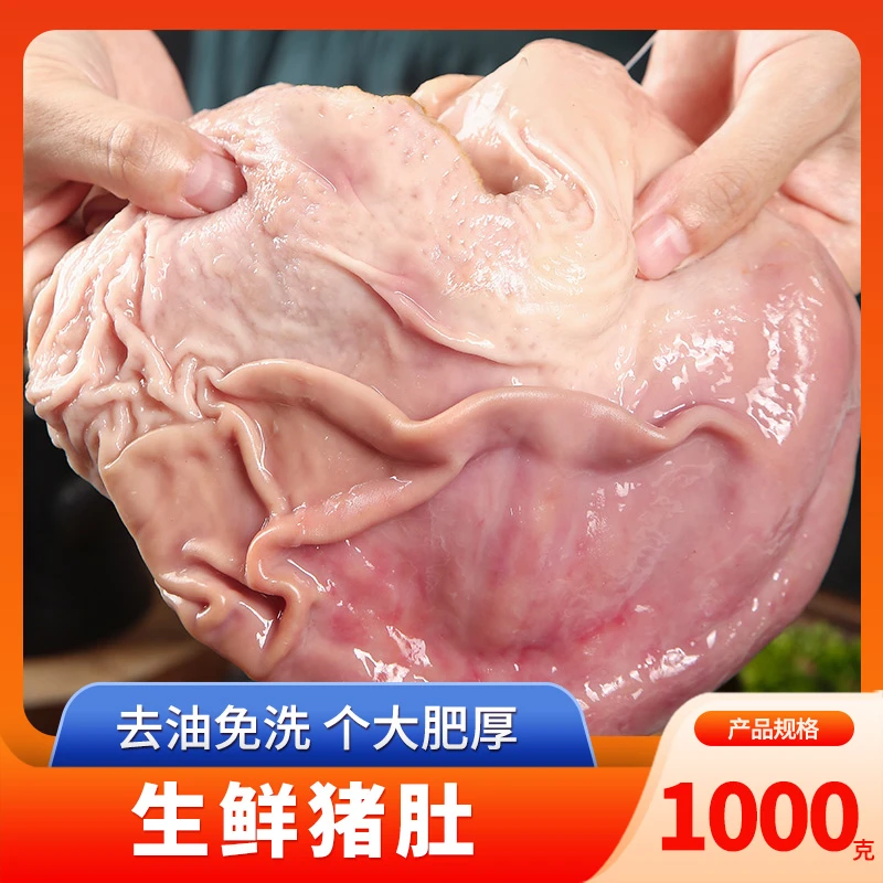 生鲜猪肚新鲜半成品冷冻整个2只装2斤免洗去油猪肚子内脏肚尖生鲜
