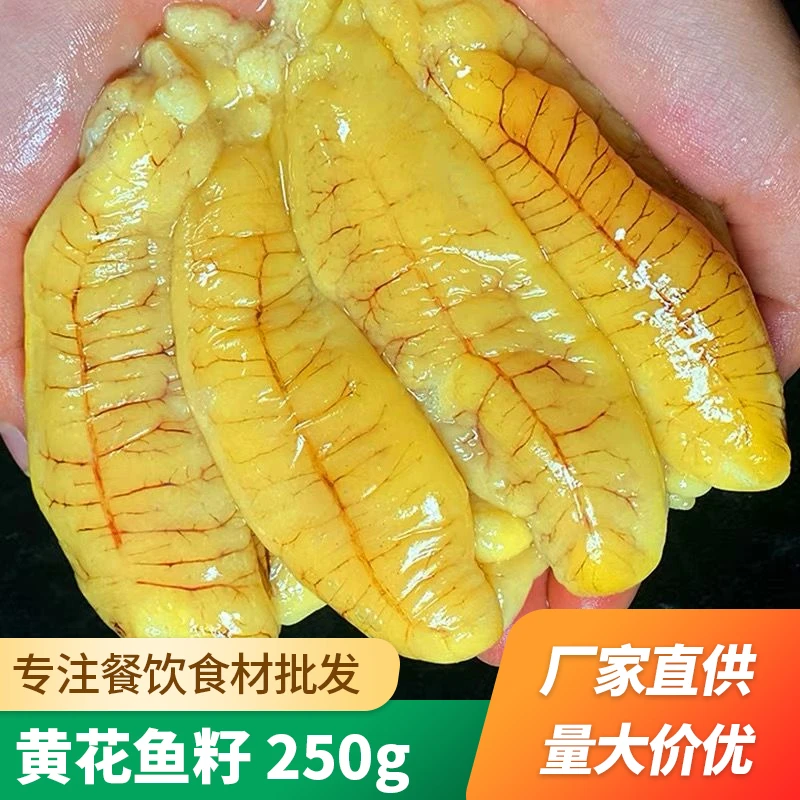 新鲜大黄鱼籽冷冻 黄花鱼籽鱼蛋鱼卵鲜活海鲜火锅店用新鲜黄鱼籽