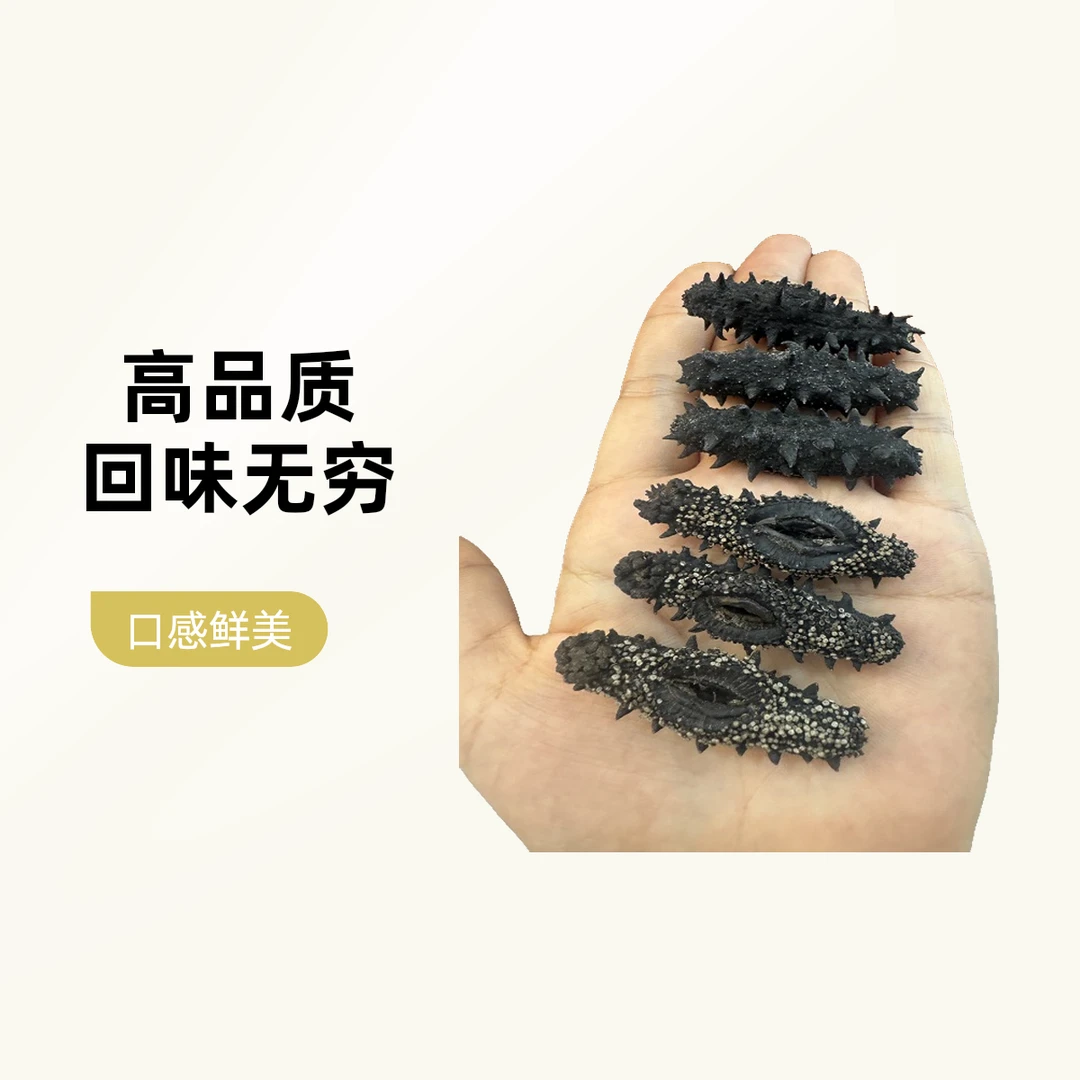 （国标15倍泡发）大连深海纯淡干海参