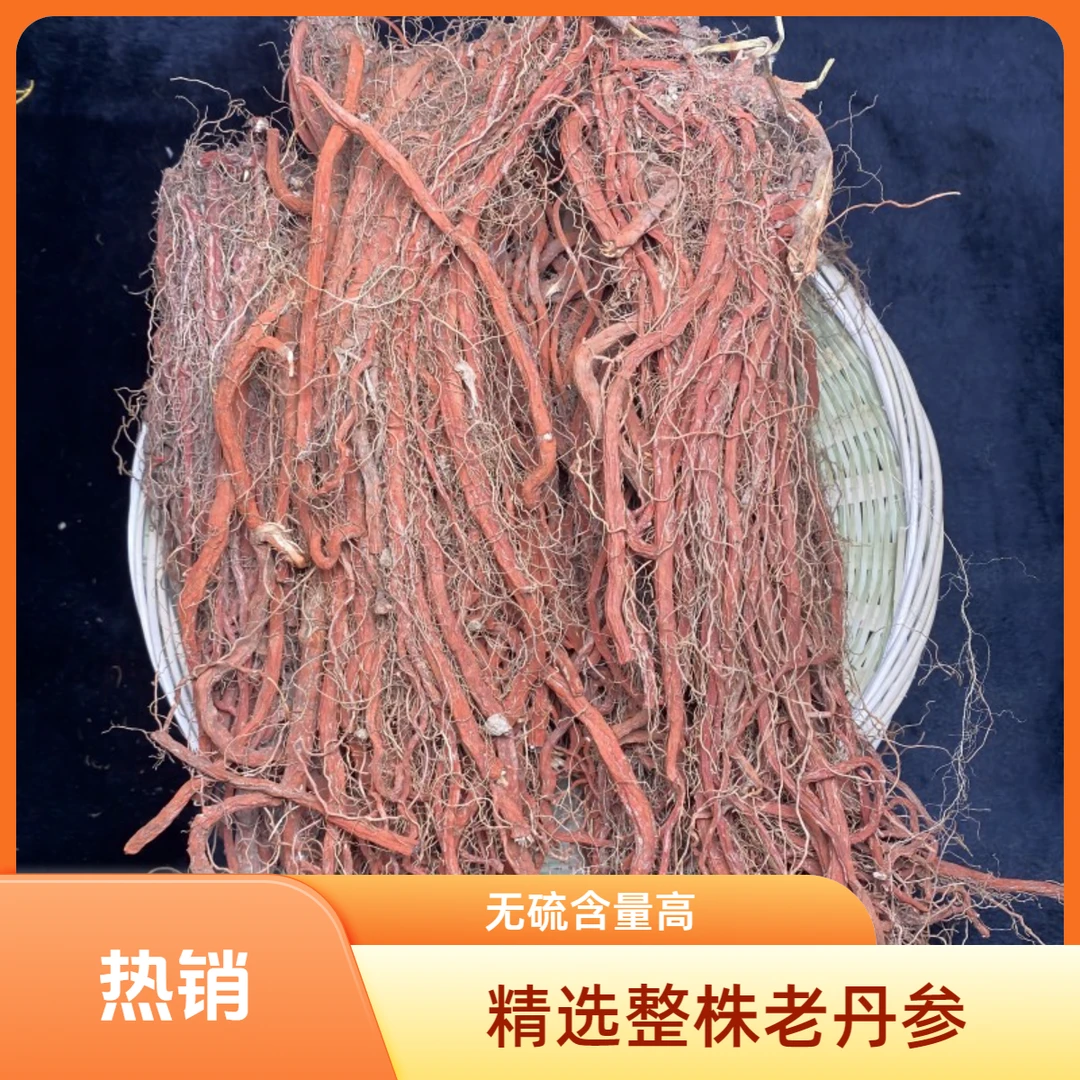 【丹=参】现收整株山货