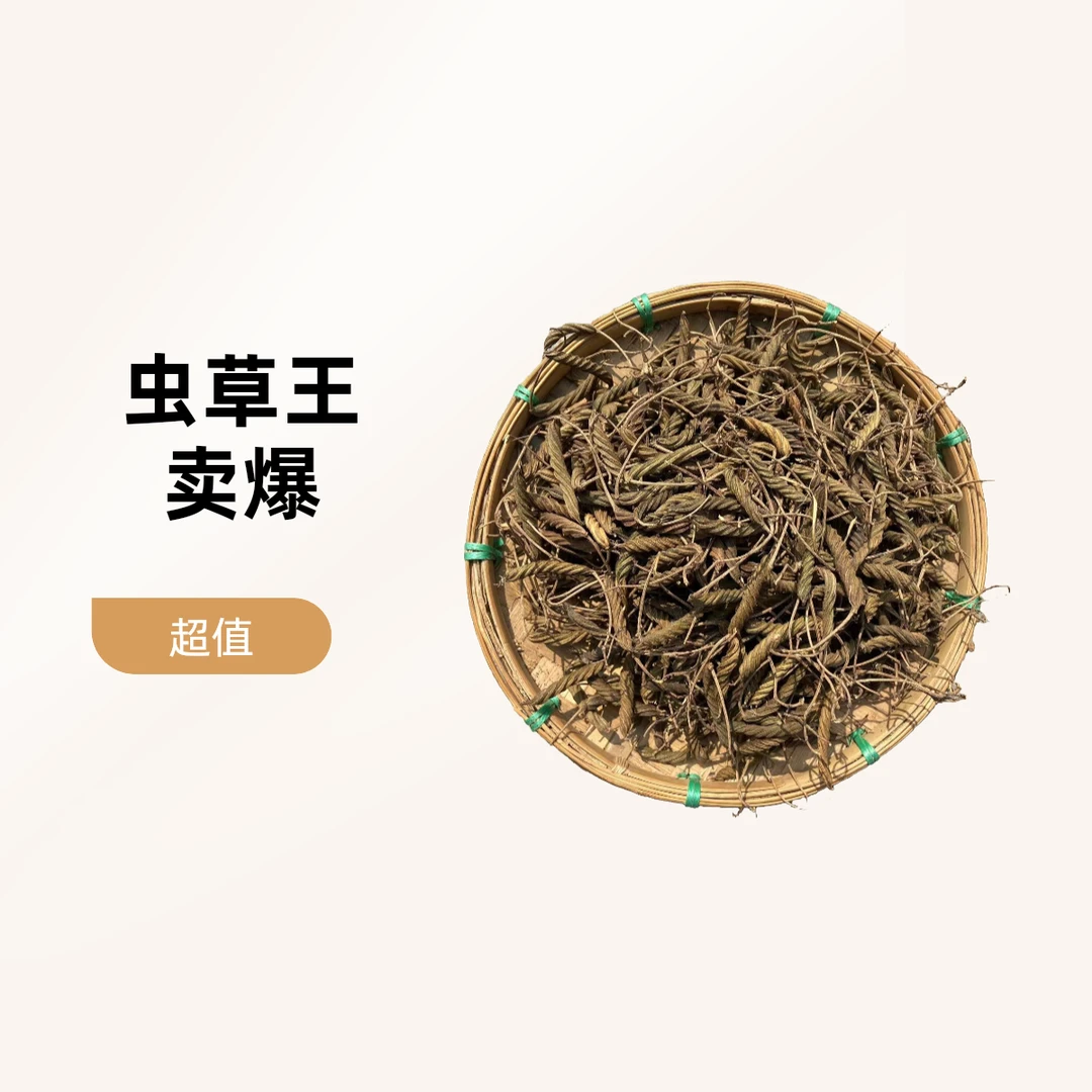 【虫 草 王】煮水泡酒