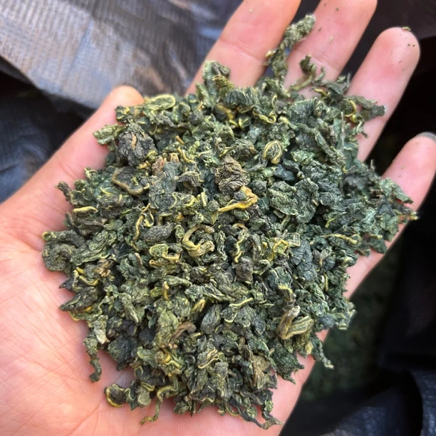农产品  桑/树 桑/叶   现收现卖
