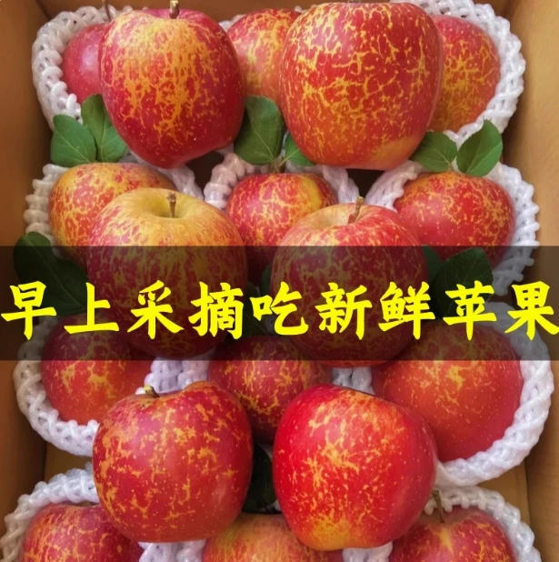 脆甜爽口多汁苹果