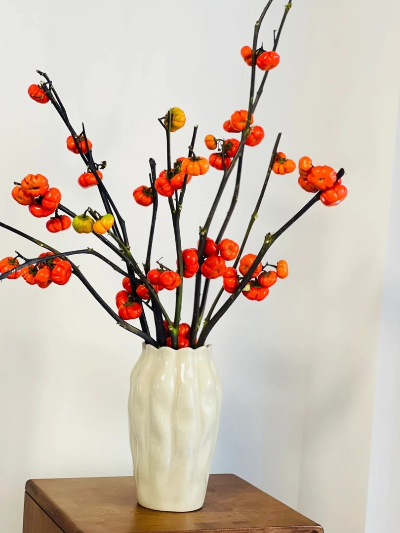 【小南瓜】云南基地鲜花直发批发小南瓜干花家庭客厅装饰花材红色