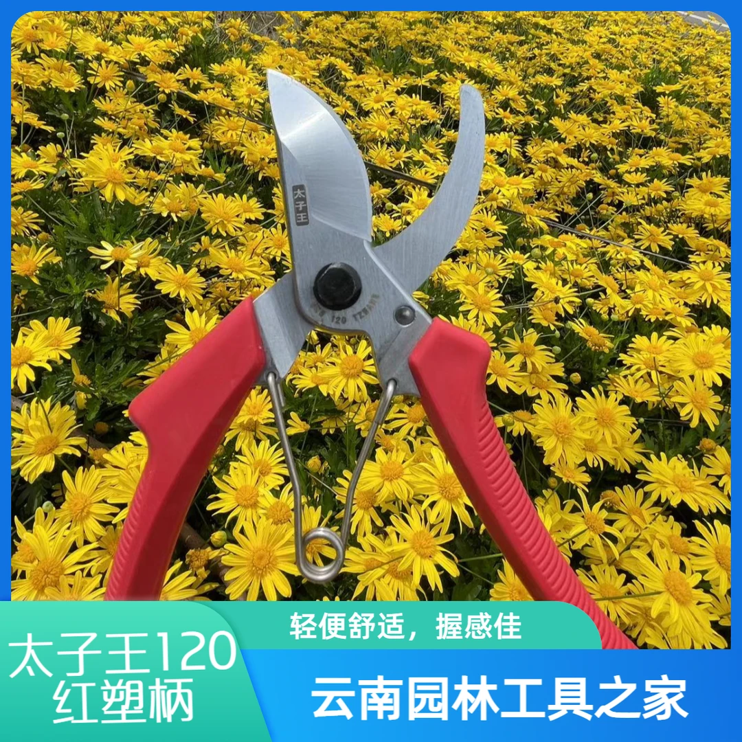 太子王120红塑柄修枝剪/果树修枝SK-5钢/剪果修枝/一剪多用太子王