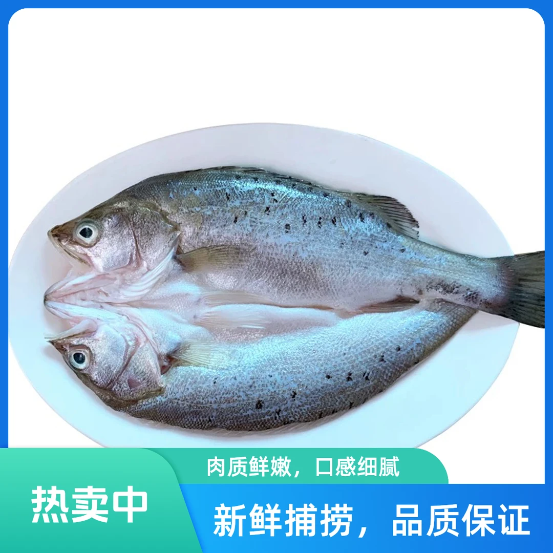 【新疆包邮】开背海洋鲈鱼去鳞去鳃去内脏鲜嫩肥美