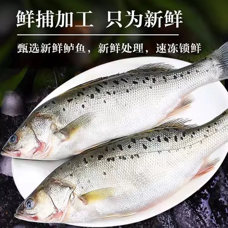 【新疆包邮】A01开背海鲈鱼三去瓣瓣肉500-550克