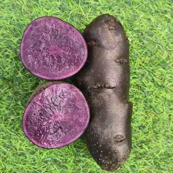 【北京平谷】紫土豆+黄土豆净重5斤/蔬菜组合