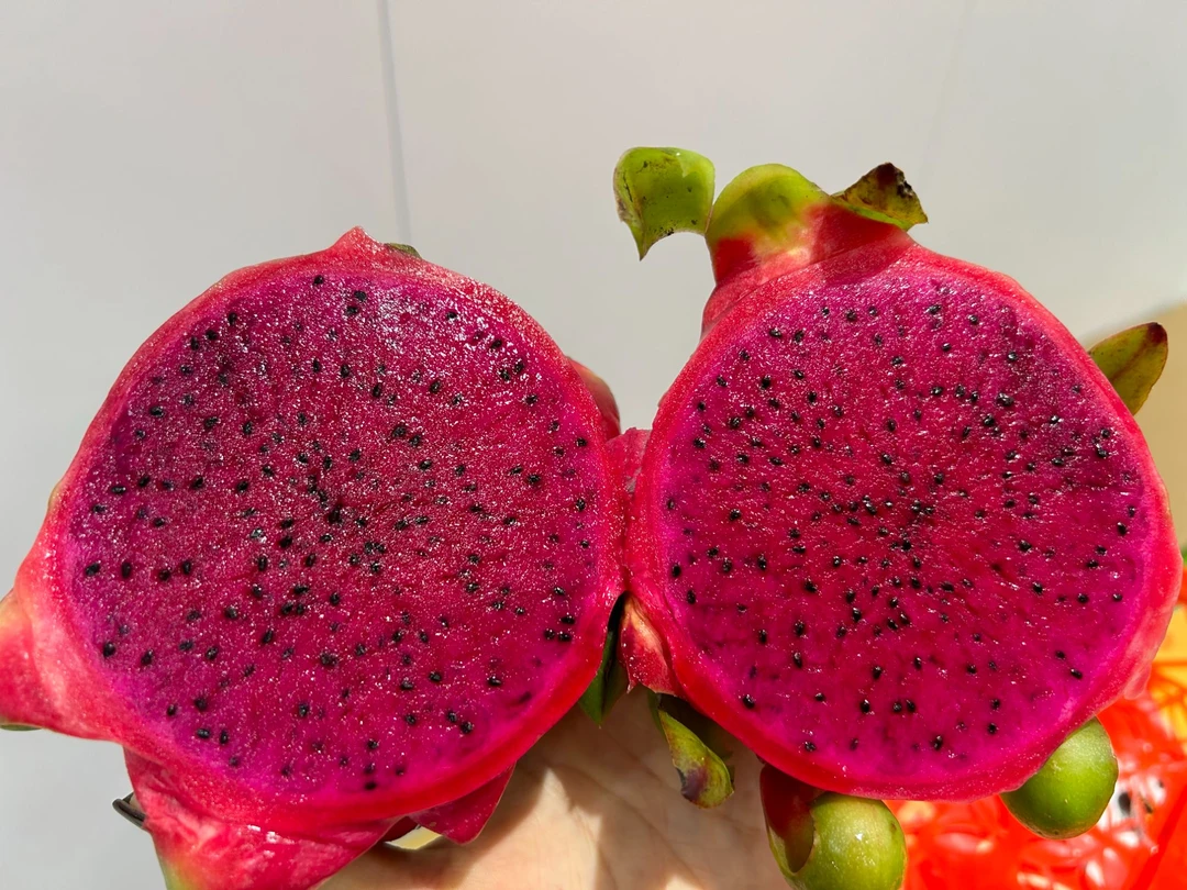 【散称】红心火龙果5斤左右