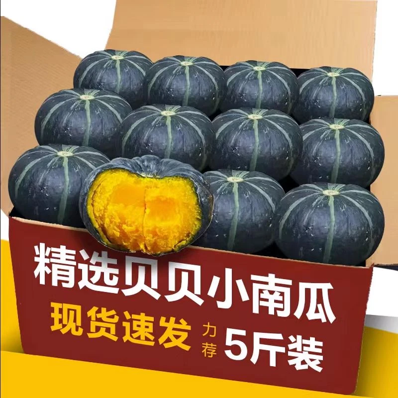 【超好吃】贝贝口感板栗味山东正宗小南瓜养生健康孕妇宝宝辅食5斤a