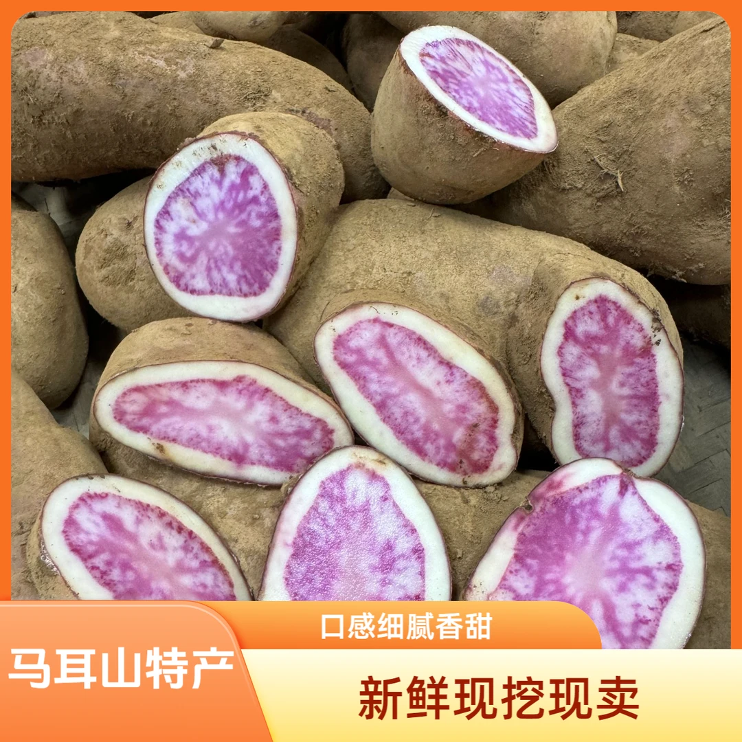 【YUMANG】云南马耳山老品种高原七彩耗子土豆