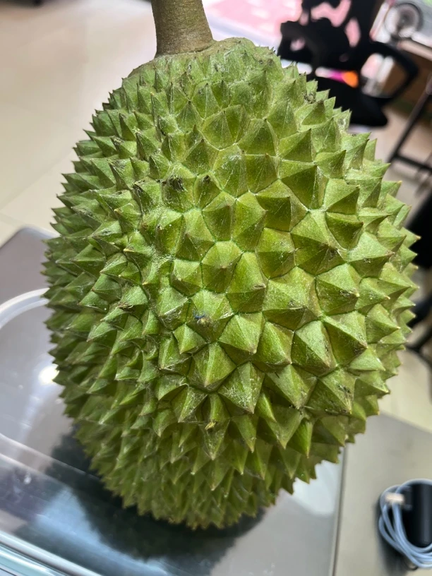 瑕疵果，不售后，介意勿拍