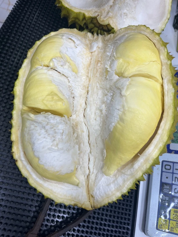 泰国树熟A级金枕2斤纯果肉