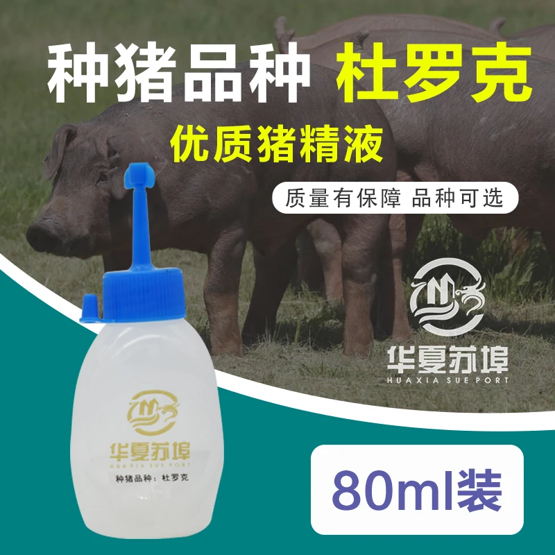 华夏苏埠杜洛克猪精子人工授精猪配种猪精液80ml纯种级猪精