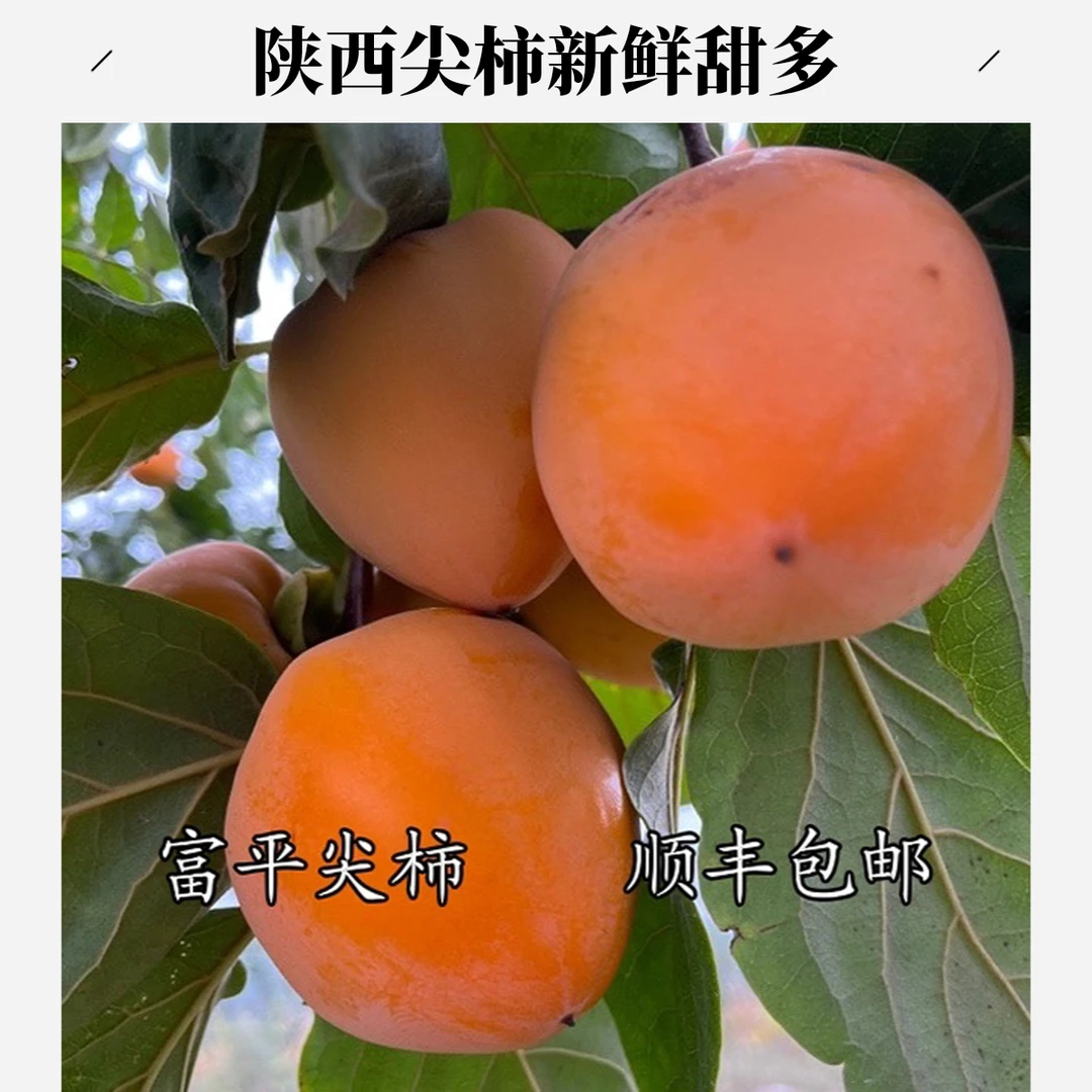 富平大尖柿农家肥生态种植新鲜采摘富平柿饼原材香甜多汁果园直发