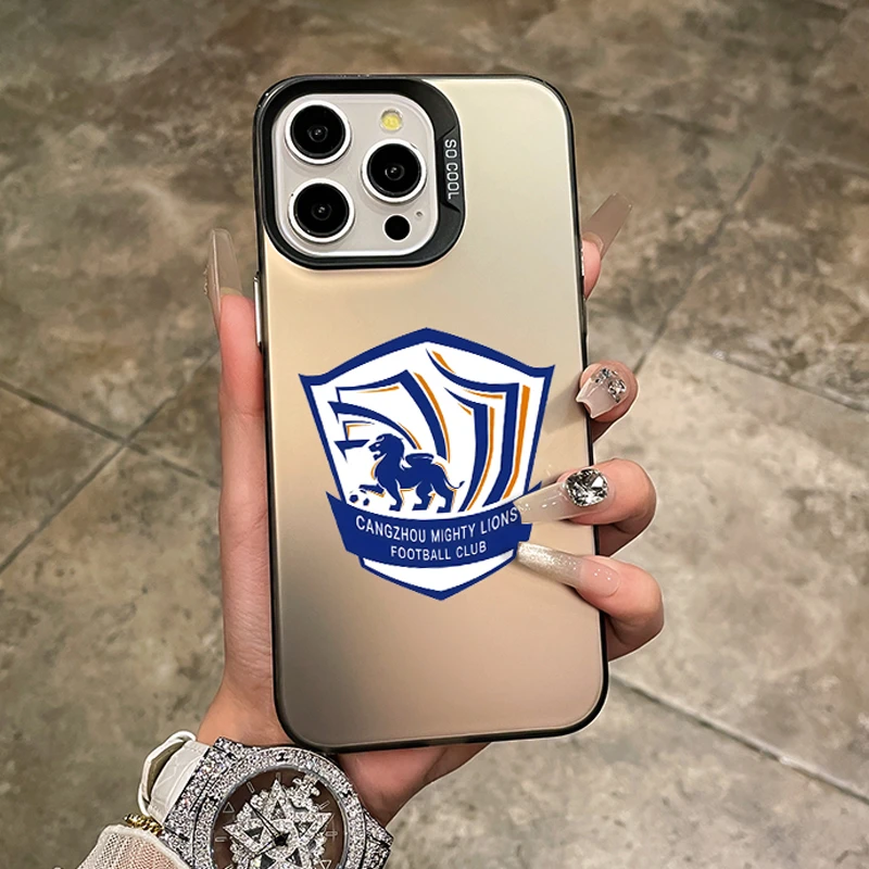 沧州雄狮苹果16promax手机壳iphone15plus男生13/14磨砂12全包11x