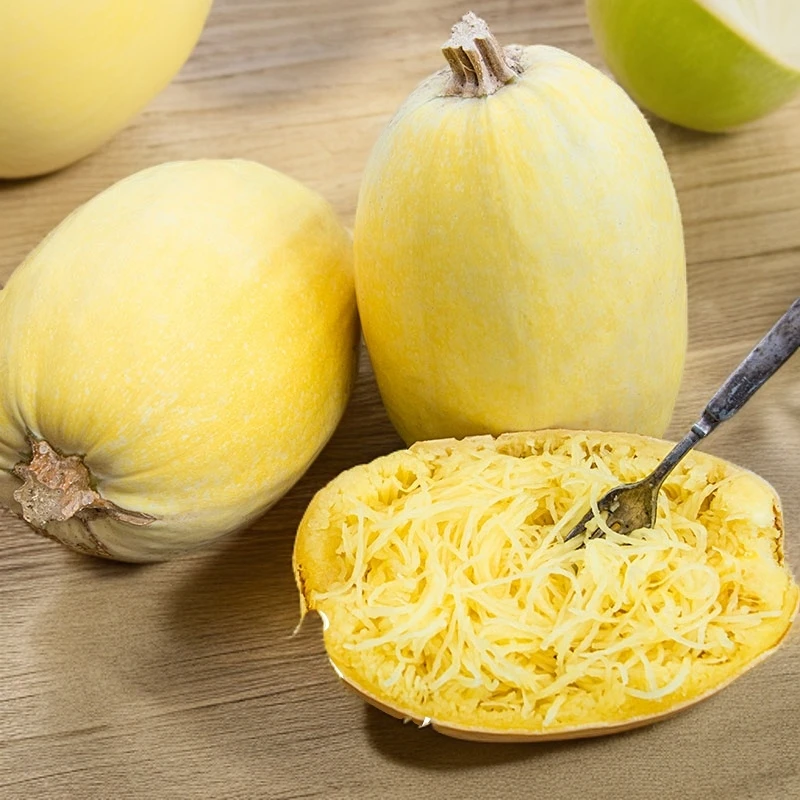 金丝绞瓜种子丝瓜粉丝茭瓜黄金瓜西葫芦南瓜蔬菜春季播种