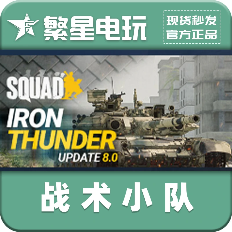 steam国区 正版 激活码 战术小队 CDKey