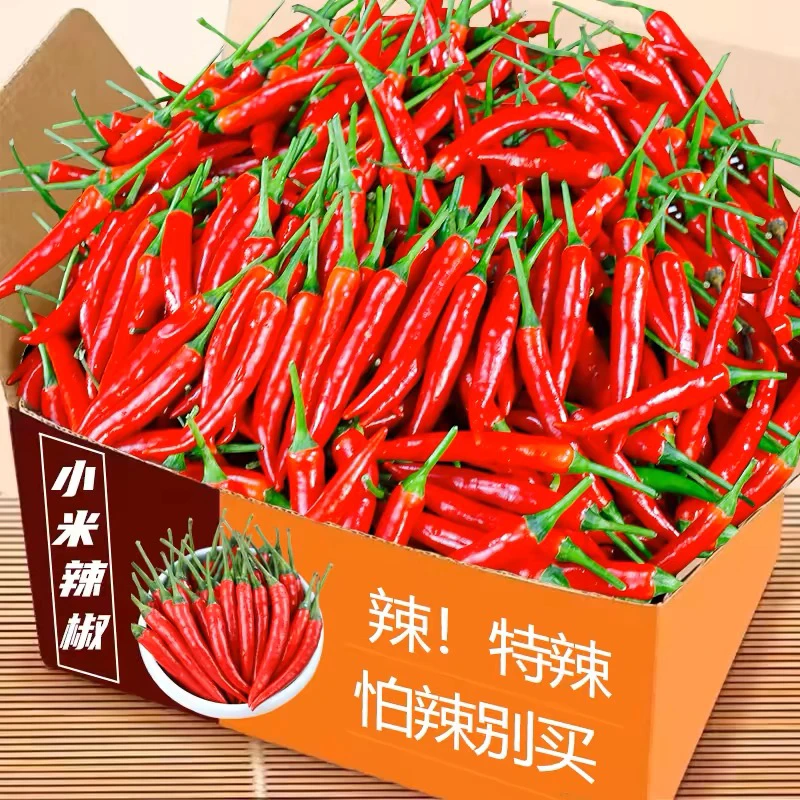 【特价抢5斤】云南巨辣小米椒新鲜现摘辣椒可泡椒0.1餐饮小米辣
