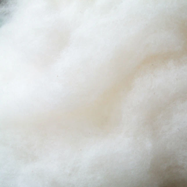 羊毛毡棉花糖充填毛 打底毛羊 绒戳戳乐填充物小黄毛 打底填充毛