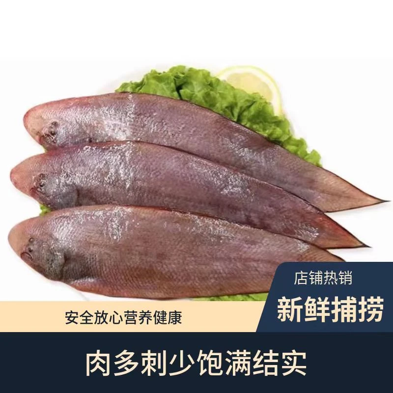 福建小岞野生冷冻深海塔西鱼品质五斤顺丰冷链包邮